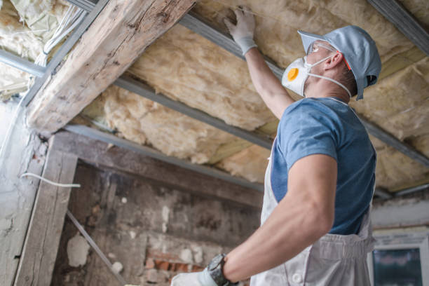 Best Specialized Insulation Services in Knob Noster, MO