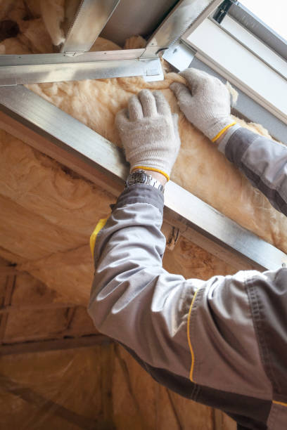 Best Eco-Friendly Insulation in Knob Noster, MO