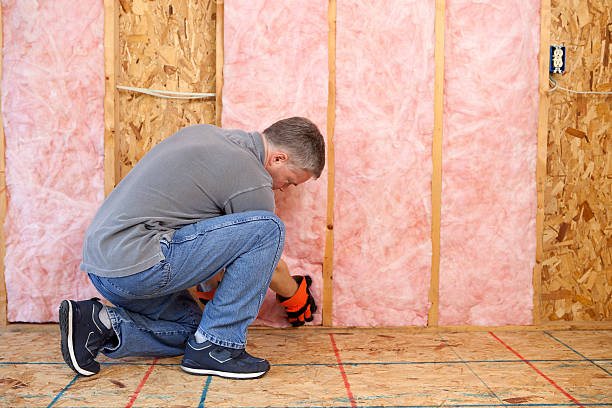 Best Cellulose Insulation in Knob Noster, MO