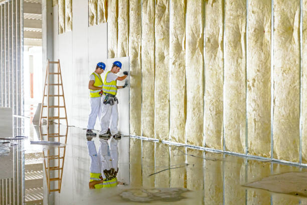 Best Spray Foam Insulation in Knob Noster, MO